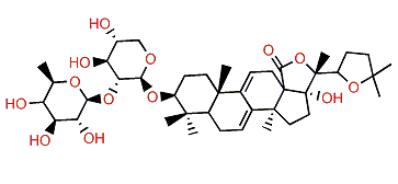 Holothurinogenin B